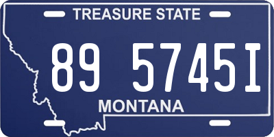 MT license plate 895745I