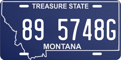 MT license plate 895748G