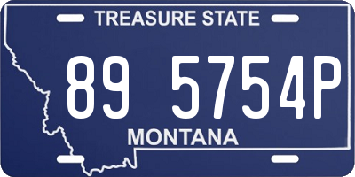 MT license plate 895754P