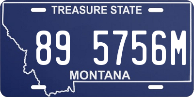 MT license plate 895756M