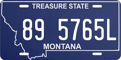 MT license plate 895765L