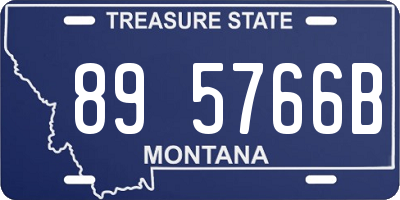 MT license plate 895766B