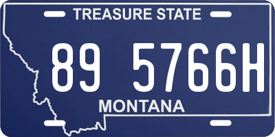 MT license plate 895766H