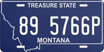 MT license plate 895766P