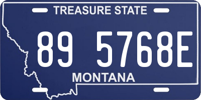MT license plate 895768E