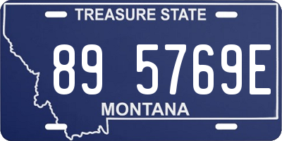 MT license plate 895769E