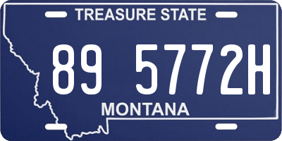 MT license plate 895772H