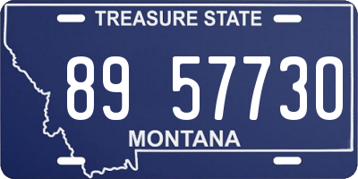 MT license plate 895773O