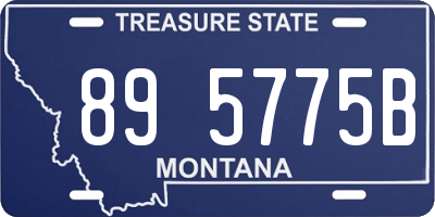 MT license plate 895775B