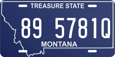 MT license plate 895781Q