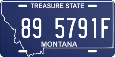 MT license plate 895791F