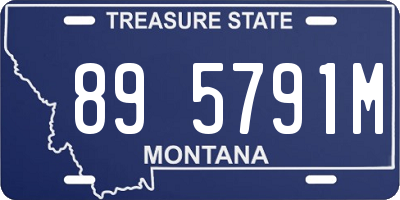 MT license plate 895791M