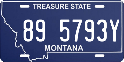 MT license plate 895793Y