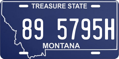 MT license plate 895795H