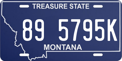 MT license plate 895795K