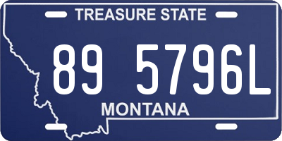 MT license plate 895796L