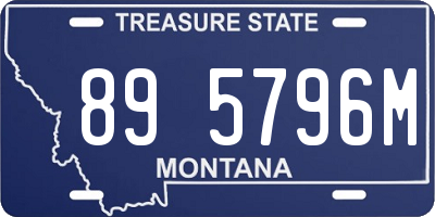 MT license plate 895796M