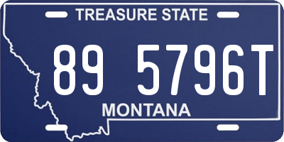 MT license plate 895796T