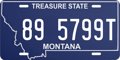 MT license plate 895799T