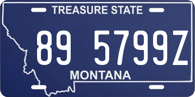 MT license plate 895799Z