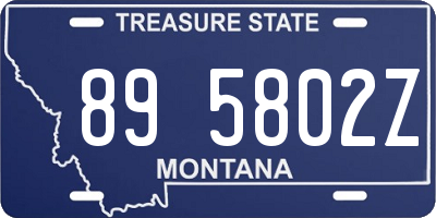 MT license plate 895802Z
