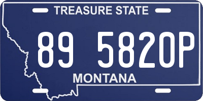 MT license plate 895820P