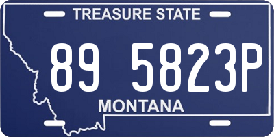 MT license plate 895823P