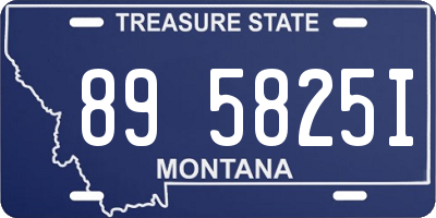 MT license plate 895825I