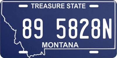 MT license plate 895828N