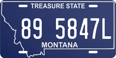 MT license plate 895847L