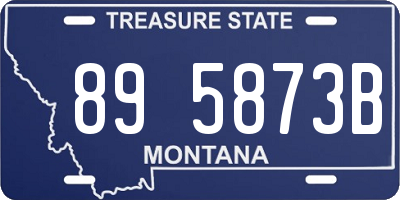MT license plate 895873B
