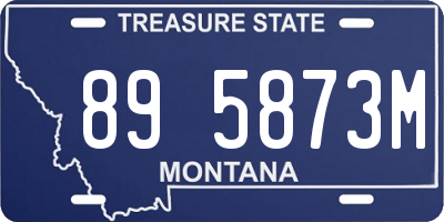 MT license plate 895873M