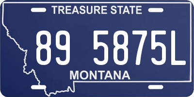 MT license plate 895875L