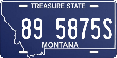 MT license plate 895875S