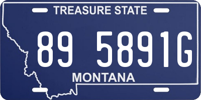 MT license plate 895891G