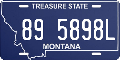 MT license plate 895898L