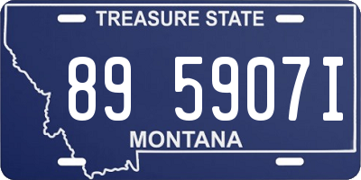 MT license plate 895907I
