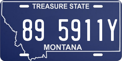 MT license plate 895911Y