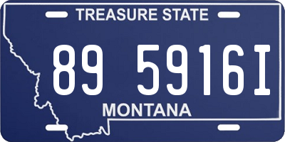 MT license plate 895916I