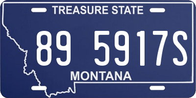 MT license plate 895917S