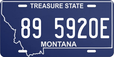MT license plate 895920E