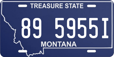 MT license plate 895955I