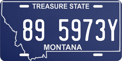 MT license plate 895973Y