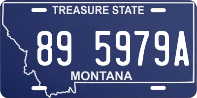 MT license plate 895979A
