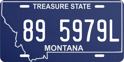 MT license plate 895979L
