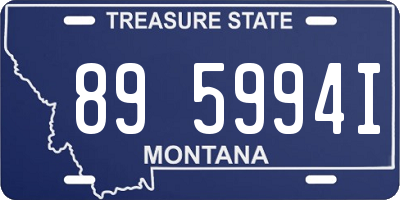 MT license plate 895994I