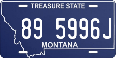 MT license plate 895996J