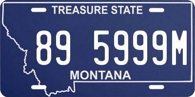 MT license plate 895999M