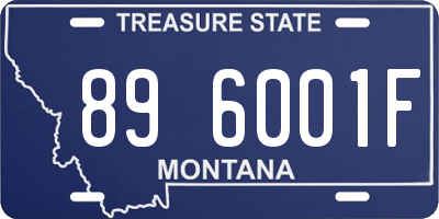 MT license plate 896001F