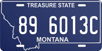 MT license plate 896013C